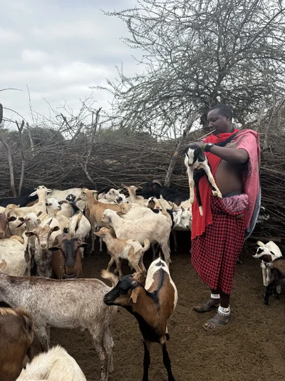 Waarom geven gelukkig maakt: de psychologie van helpen