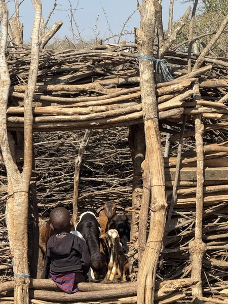 Transparantie in goede doelen illustratie